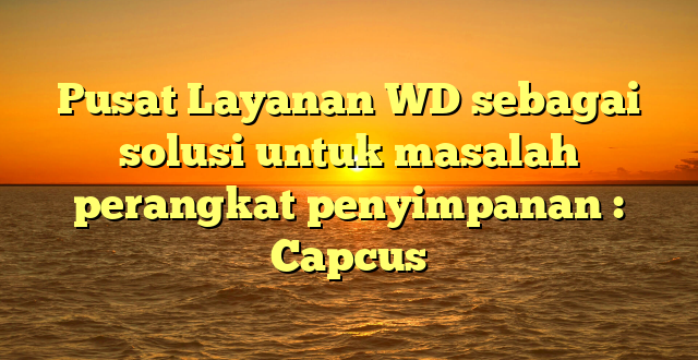 Pusat Layanan WD sebagai solusi untuk masalah perangkat penyimpanan : Capcus