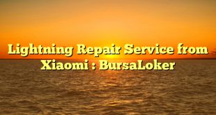 Lightning Repair Service from Xiaomi : BursaLoker