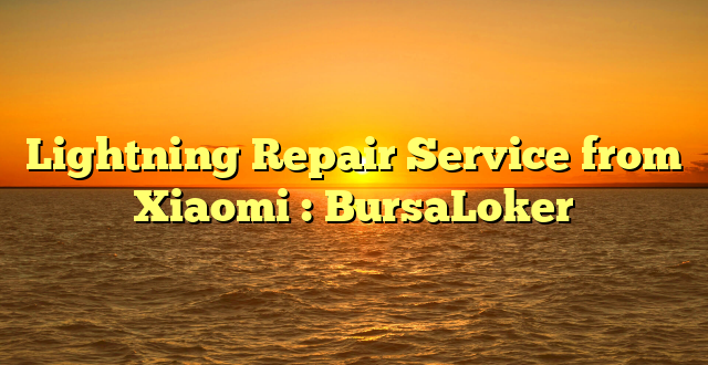 Lightning Repair Service from Xiaomi : BursaLoker