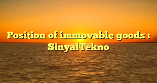 Position of immovable goods : SinyalTekno