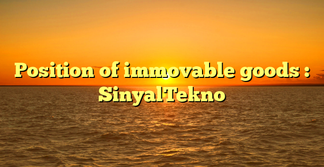 Position of immovable goods : SinyalTekno