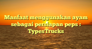 Manfaat menggunakan ayam sebagai persiapan peps : TypesTrucks