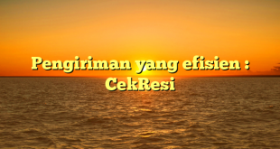 Pengiriman yang efisien : CekResi