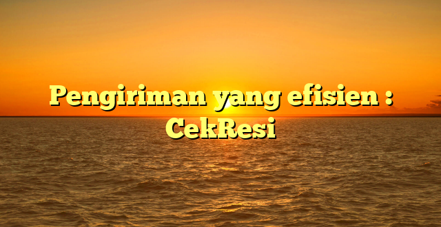 Pengiriman yang efisien : CekResi