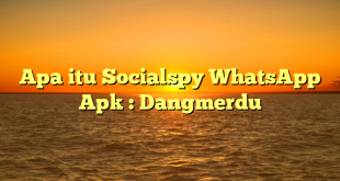 Apa itu Socialspy WhatsApp Apk : Dangmerdu