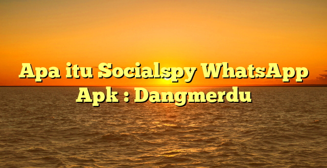 Apa itu Socialspy WhatsApp Apk : Dangmerdu