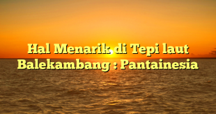 Hal Menarik di Tepi laut Balekambang : Pantainesia