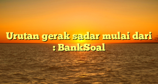 Urutan gerak sadar mulai dari : BankSoal