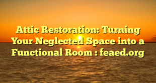 Attic Restoration: Turning Your Neglected Space into a Functional Room : feaed.org