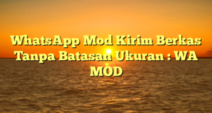 WhatsApp Mod Kirim Berkas Tanpa Batasan Ukuran : WA MOD