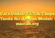 Cara Unduh TikTok Tanpa Tanda Air dengan Mudah : mastah.org
