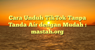 Cara Unduh TikTok Tanpa Tanda Air dengan Mudah : mastah.org