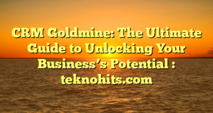 CRM Goldmine: The Ultimate Guide to Unlocking Your Business’s Potential : teknohits.com