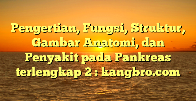 Pengertian, Fungsi, Struktur, Gambar Anatomi, dan Penyakit pada Pankreas terlengkap 2 : kangbro.com