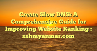 Create Slow DNS: A Comprehensive Guide for Improving Website Ranking : sshmyanmar.com